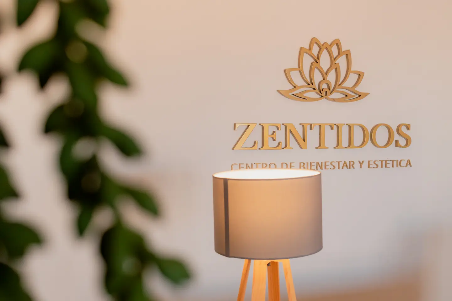 Imagen del carrusel